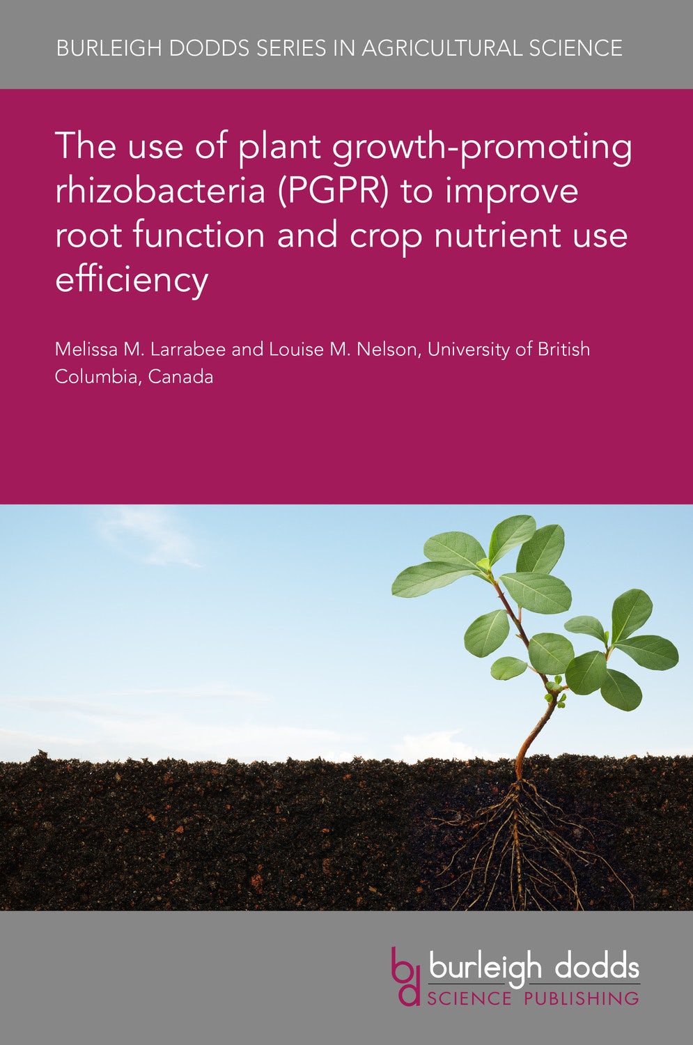 Book cover image for The use of plant growth-promoting rhizobacteria (PGPR) to improve root function and crop nutrient use efficiency ISBN: 9781801460033